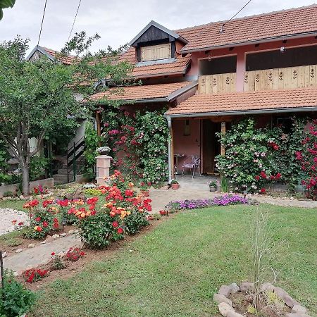 Apartman Mika Soko Banja Esterno foto