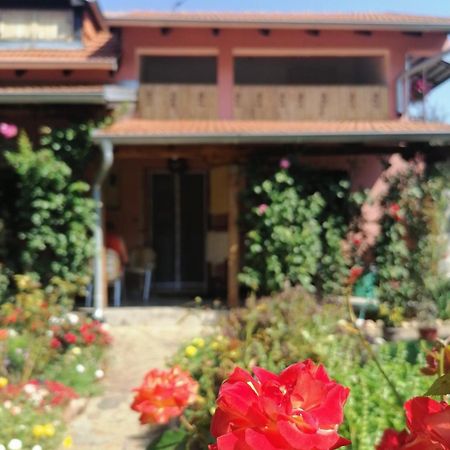 Apartman Mika Soko Banja Esterno foto