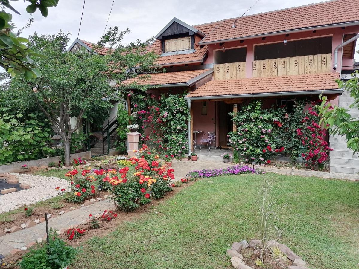 Apartman Mika Soko Banja Esterno foto